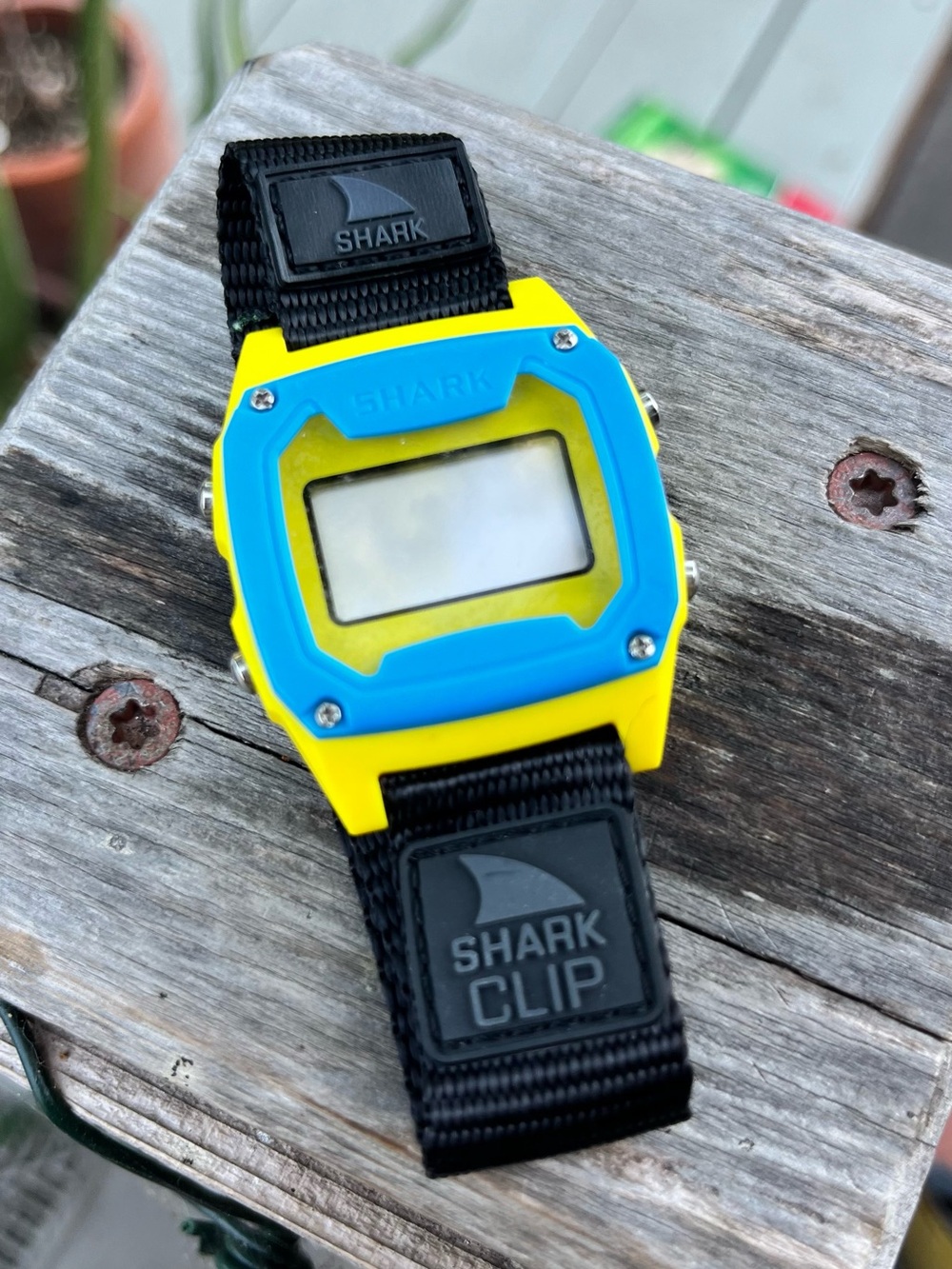 Shark Clip Watch: needs new battery but good to go! 🦈